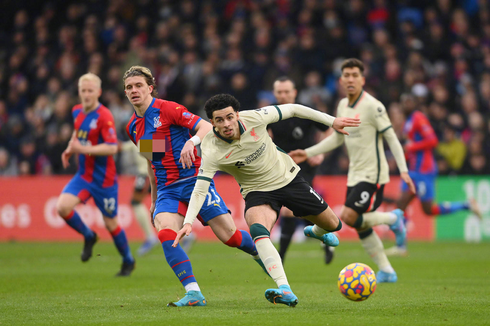 选择性封堵 选择性封堵